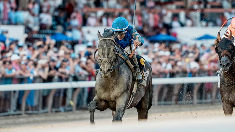 Sovereignty, Whitney Stakes, Saratoga Race Course, Breeders' Cup Classic, horse racing, America's Best Racing, ABR
